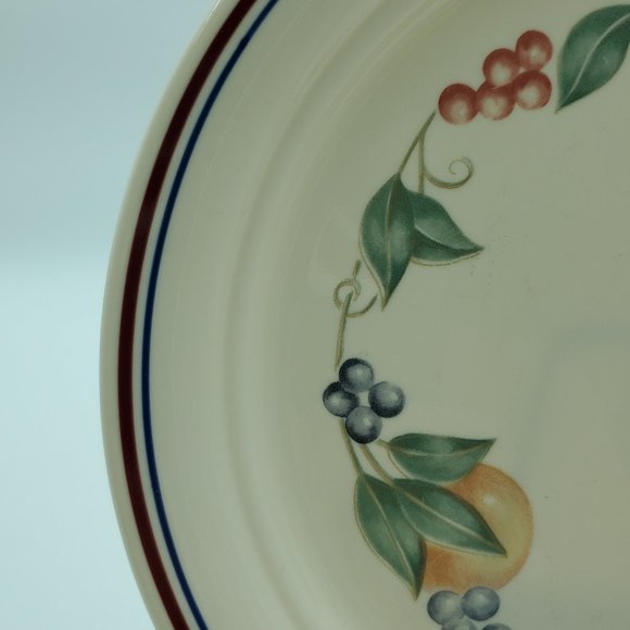 Corelle Abundance Lunch Plates Salad Plates 8.5" Fruit Berries Vines Leaves - Picture 3 of 7